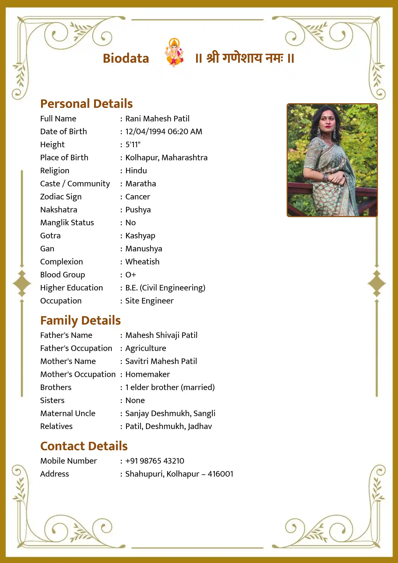 Classic 3 biodata template